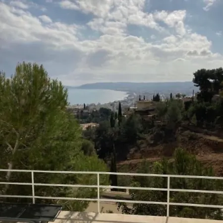 فيلة Sella خافييا